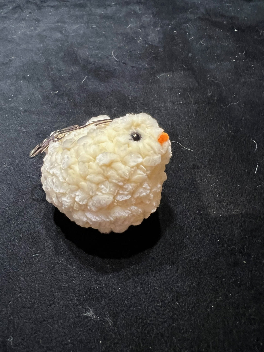 Baby Chicken