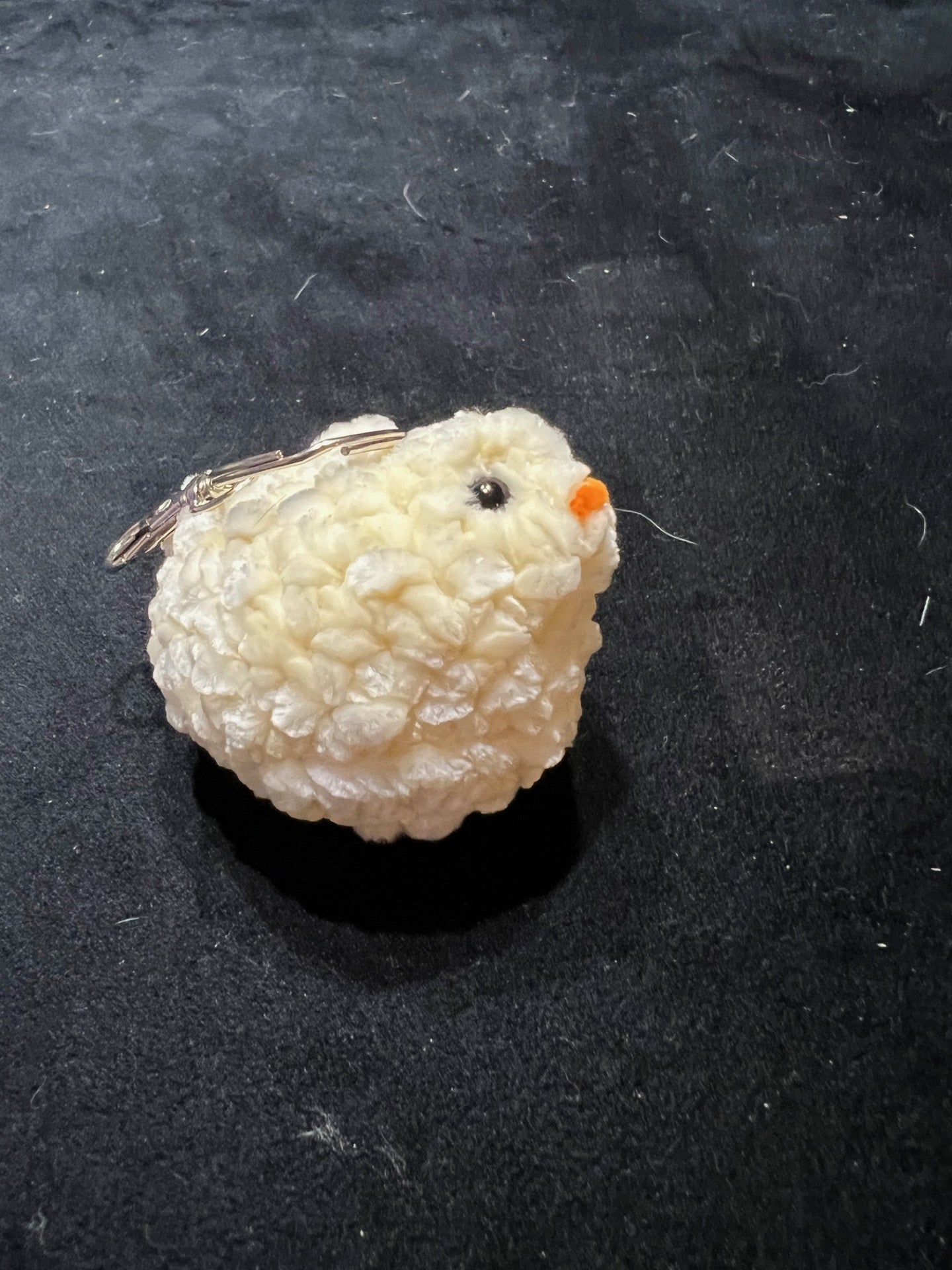 Baby Chicken