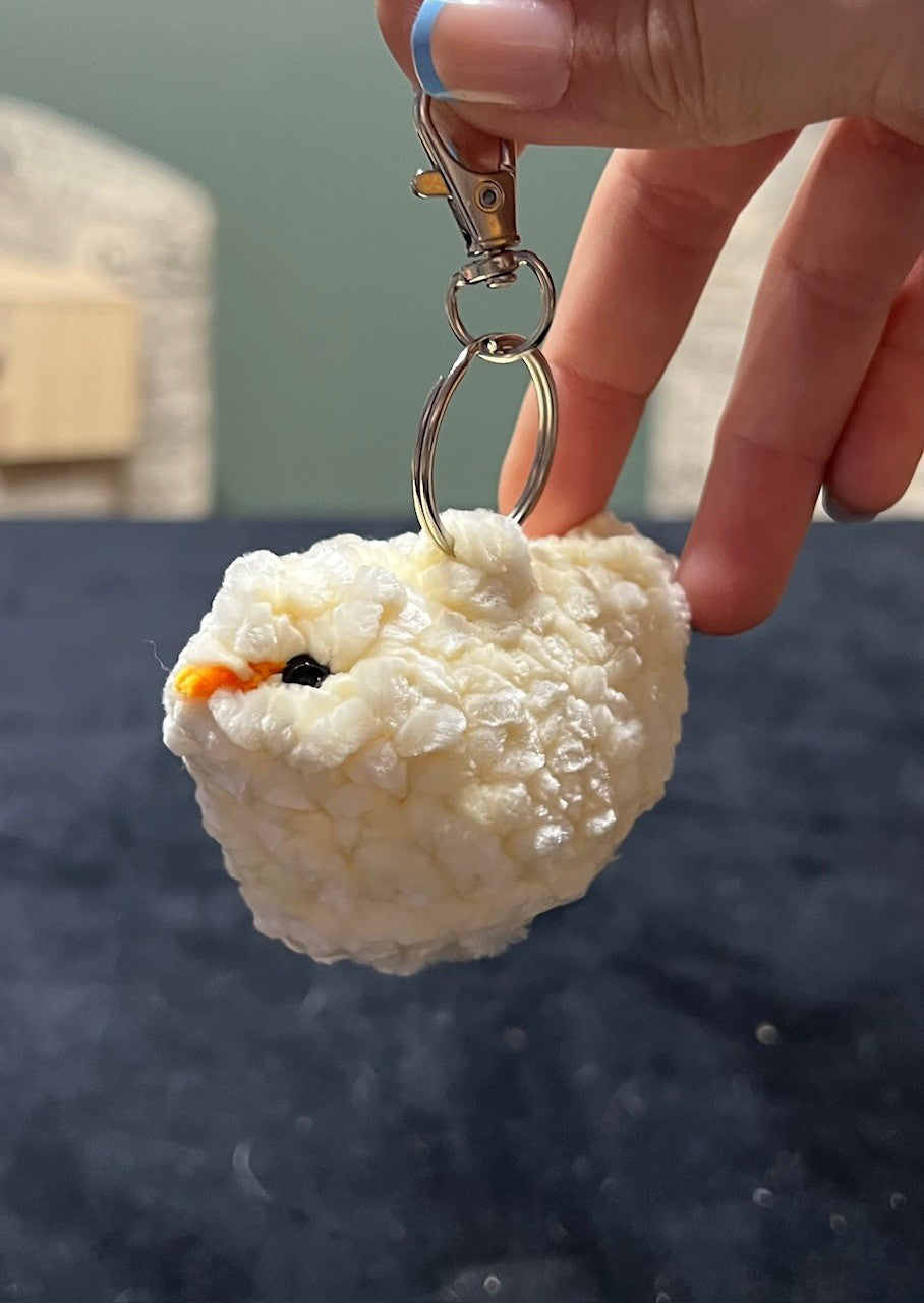 Baby Chicken